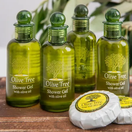 Olive Tree Appart hôtel Fira (Santorini)